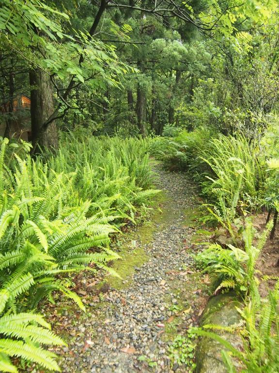 Wa No Cottage Sen-No-Ie Yakushima  Εξωτερικό φωτογραφία